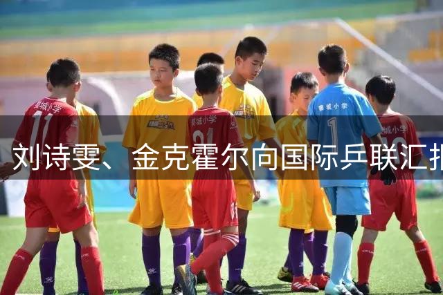 刘诗雯、金克霍尔向国际乒联汇报运动员委员会工作