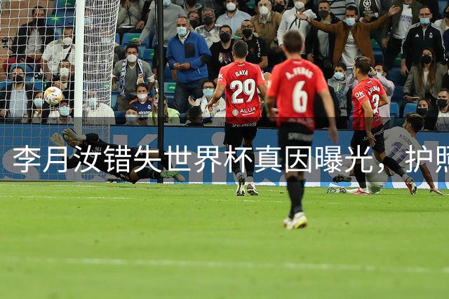 李月汝错失世界杯真因曝光，护照遗失背后另有隐情